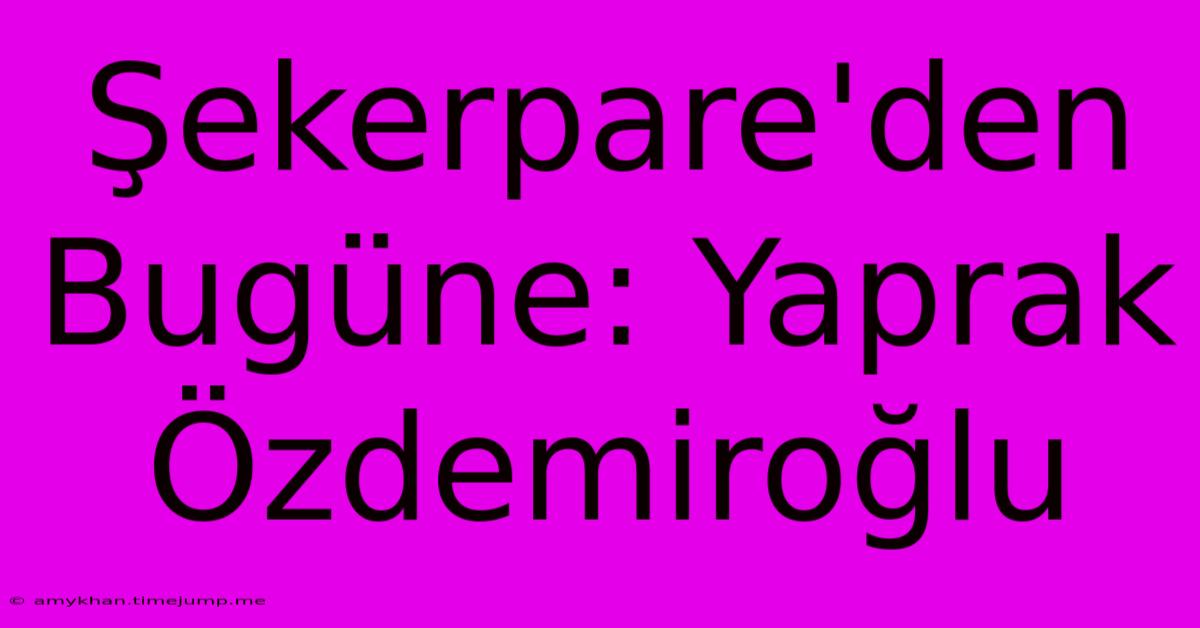 Şekerpare'den Bugüne: Yaprak Özdemiroğlu