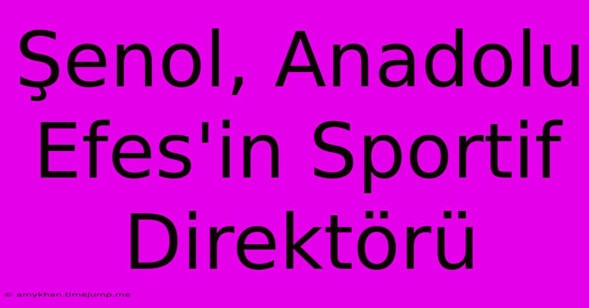 Şenol, Anadolu Efes'in Sportif Direktörü