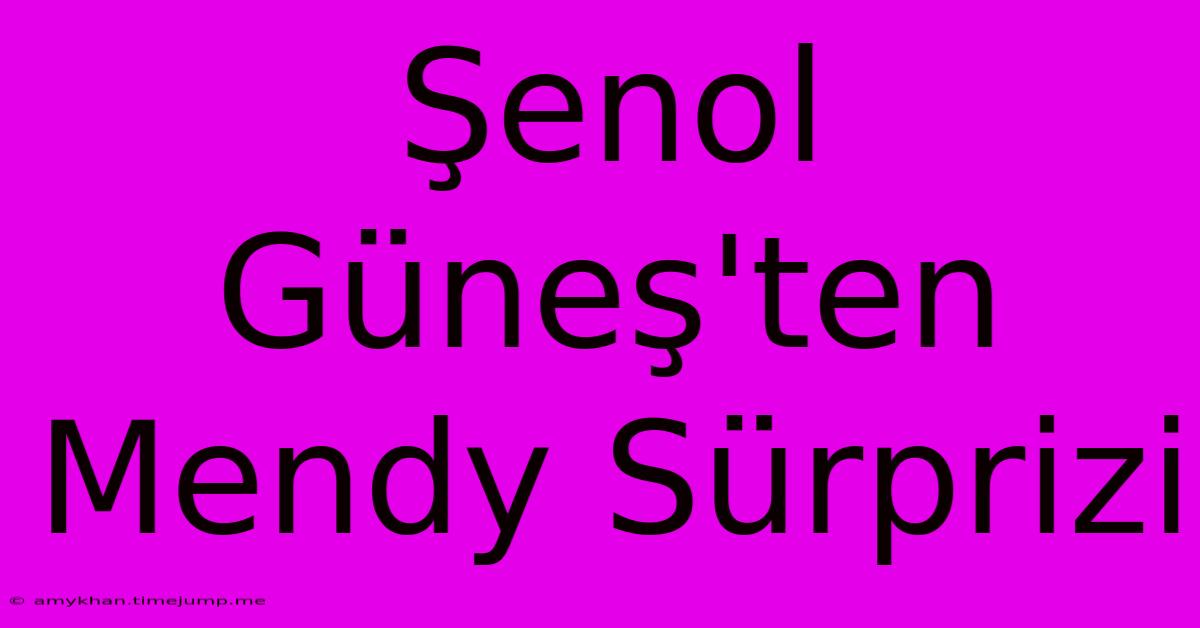 Şenol Güneş'ten Mendy Sürprizi