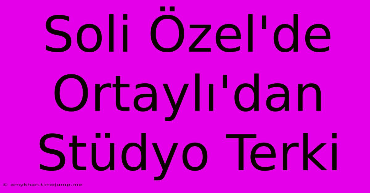 Soli Özel'de Ortaylı'dan Stüdyo Terki