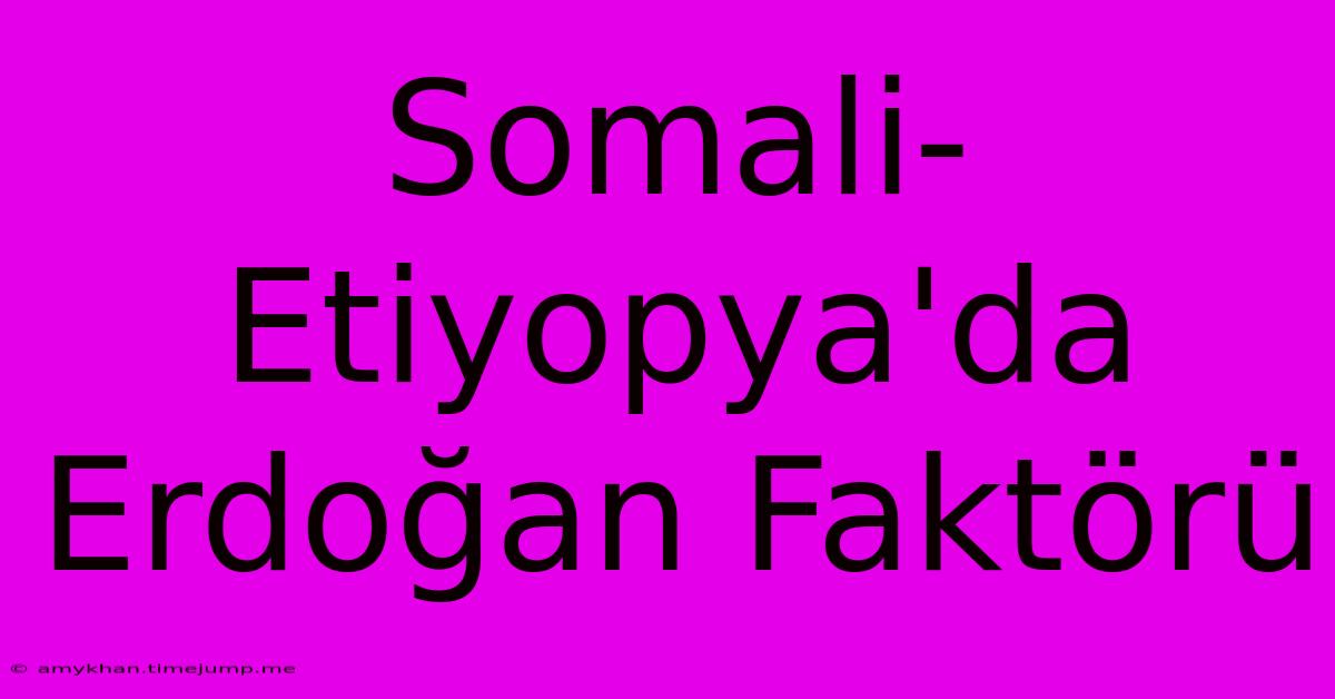 Somali-Etiyopya'da Erdoğan Faktörü