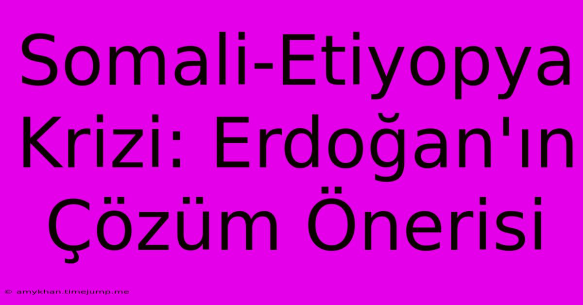 Somali-Etiyopya Krizi: Erdoğan'ın Çözüm Önerisi