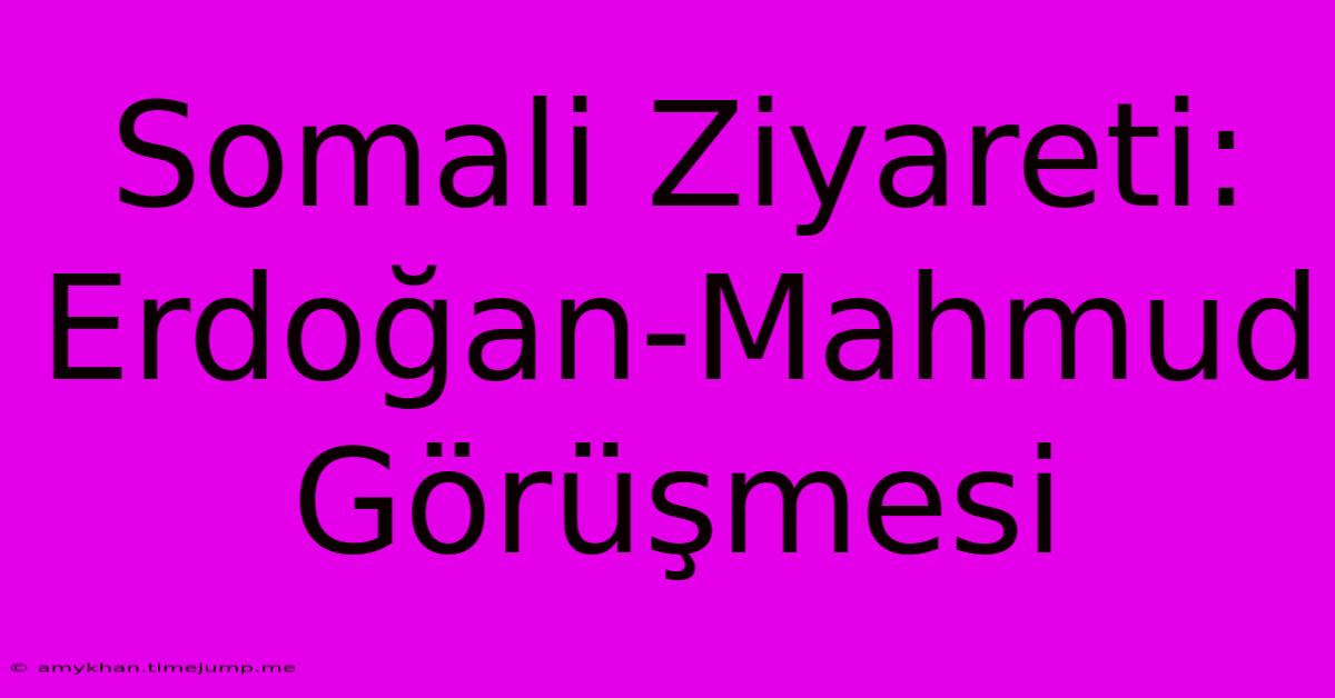 Somali Ziyareti: Erdoğan-Mahmud  Görüşmesi