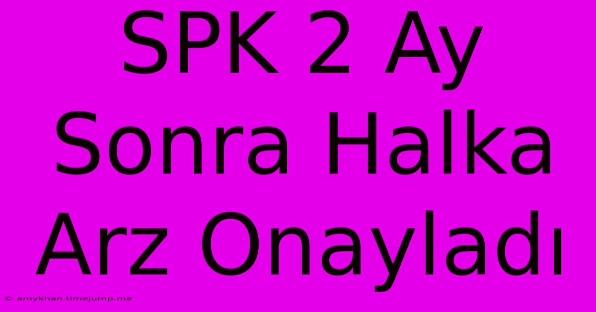 SPK 2 Ay Sonra Halka Arz Onayladı