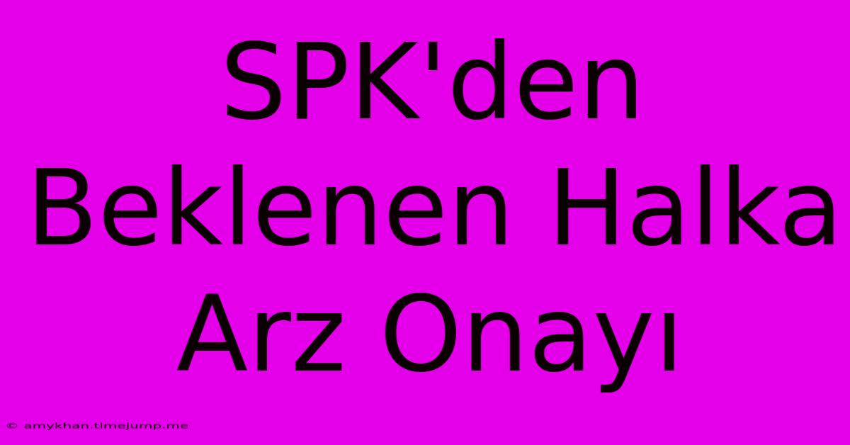 SPK'den Beklenen Halka Arz Onayı