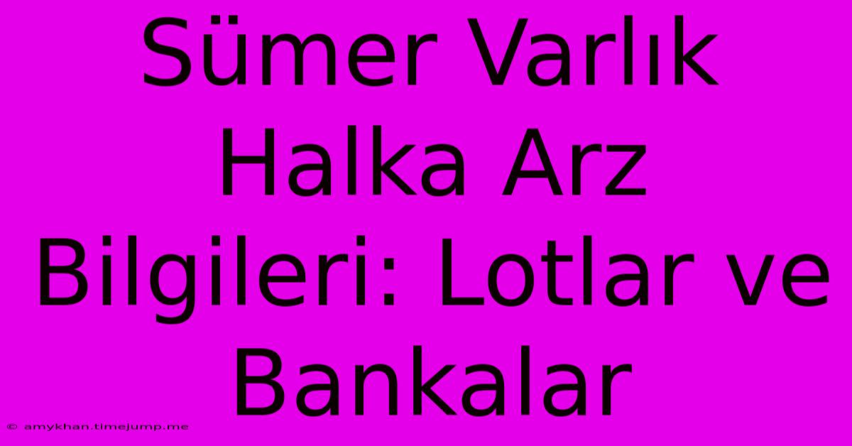 Sümer Varlık Halka Arz Bilgileri: Lotlar Ve Bankalar