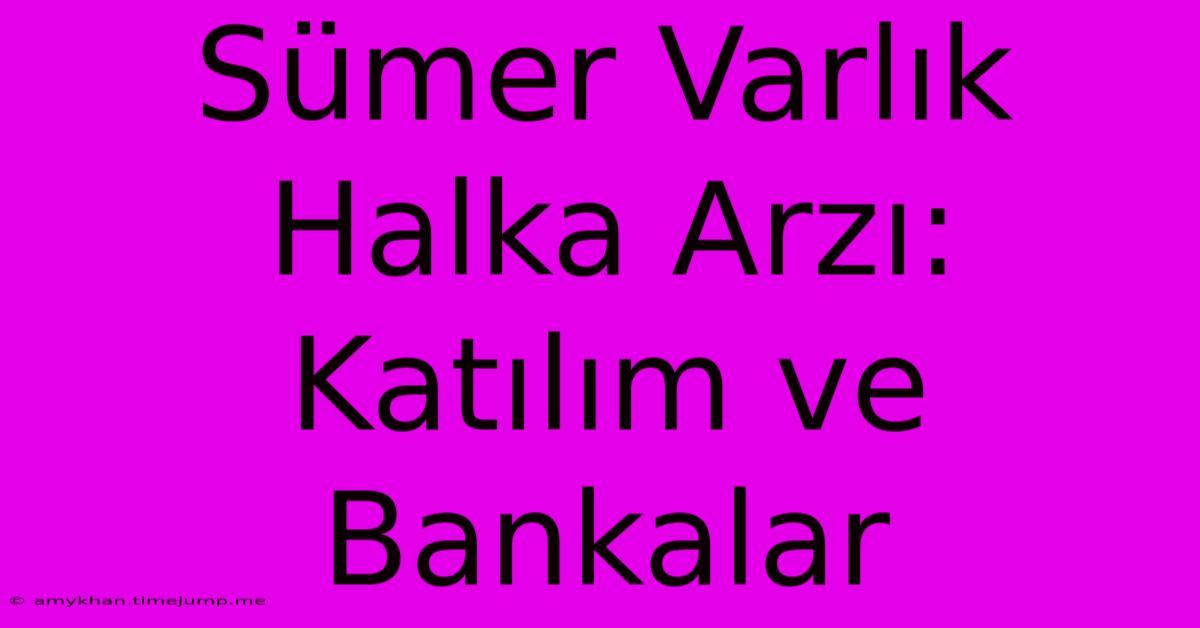 Sümer Varlık Halka Arzı: Katılım Ve Bankalar