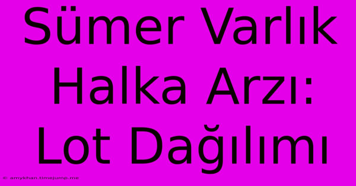 Sümer Varlık Halka Arzı: Lot Dağılımı