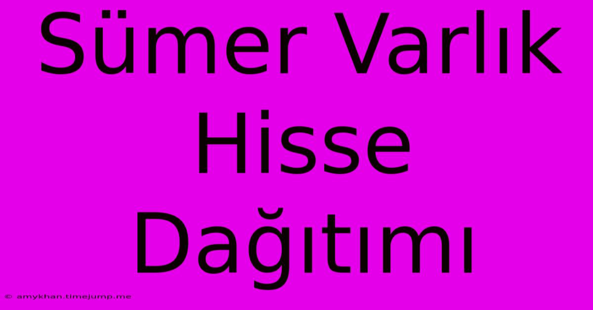 Sümer Varlık Hisse Dağıtımı