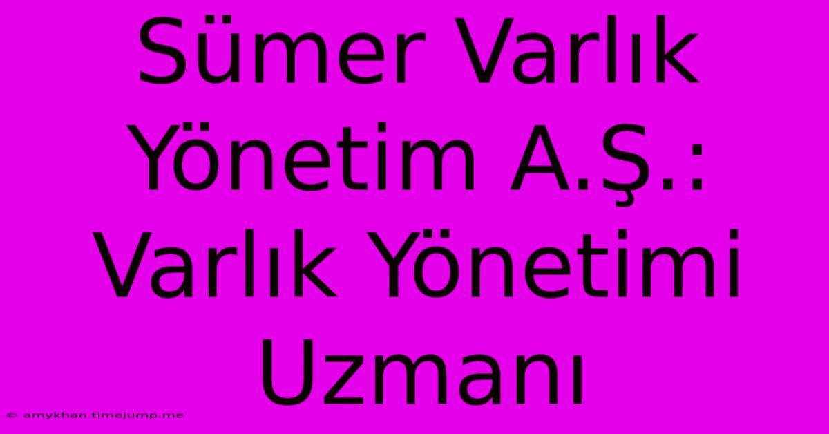 Sümer Varlık Yönetim A.Ş.: Varlık Yönetimi Uzmanı