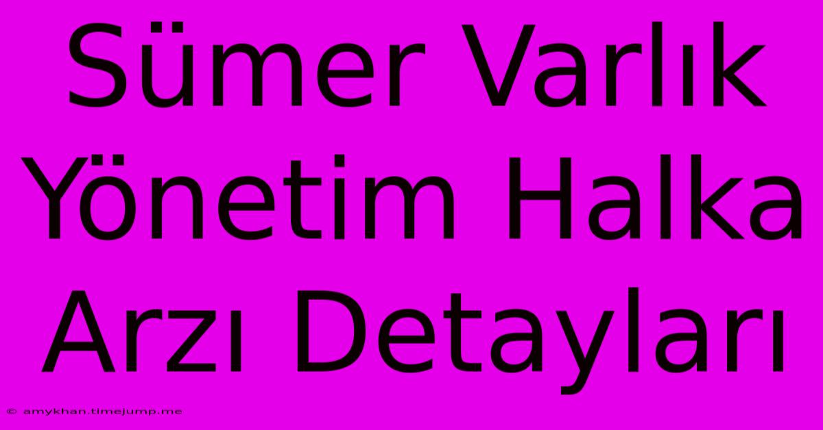 Sümer Varlık Yönetim Halka Arzı Detayları