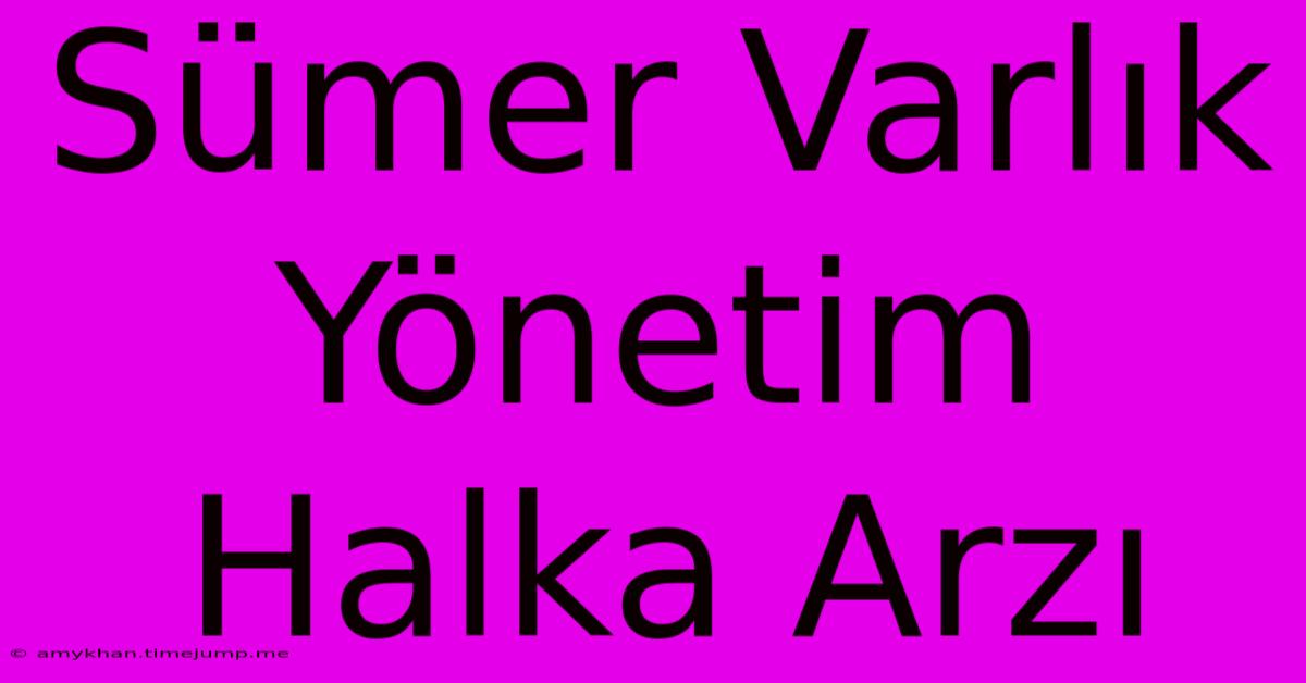 Sümer Varlık Yönetim Halka Arzı