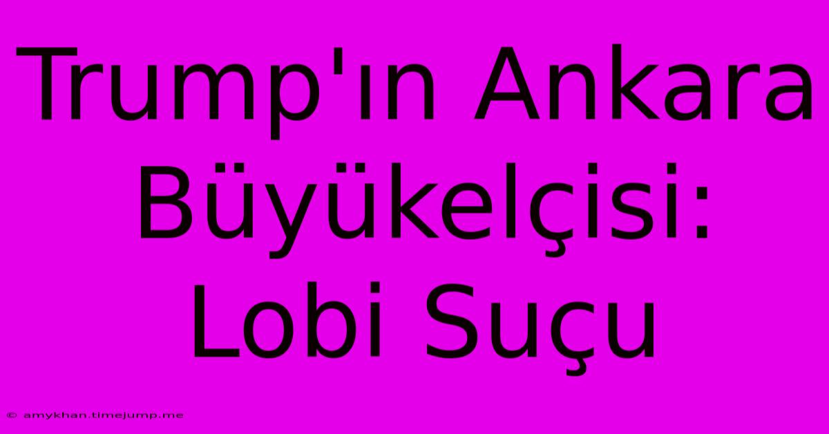 Trump'ın Ankara Büyükelçisi: Lobi Suçu