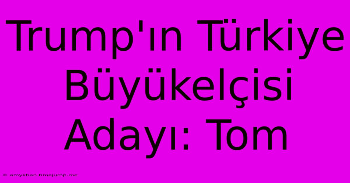 Trump'ın Türkiye Büyükelçisi Adayı: Tom