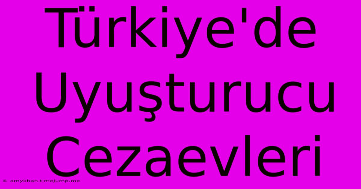 Türkiye'de Uyuşturucu Cezaevleri