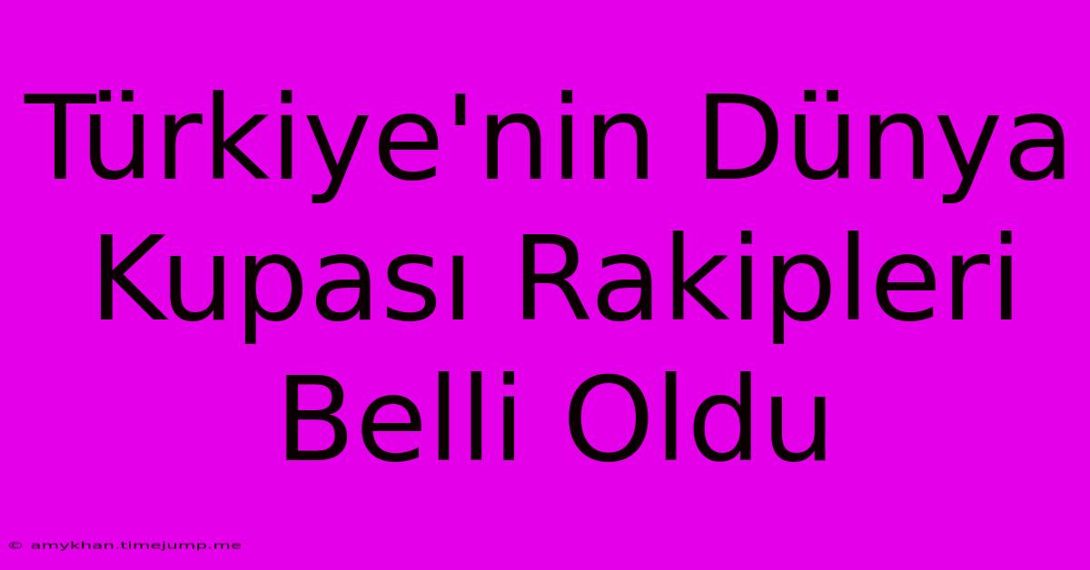 Türkiye'nin Dünya Kupası Rakipleri Belli Oldu