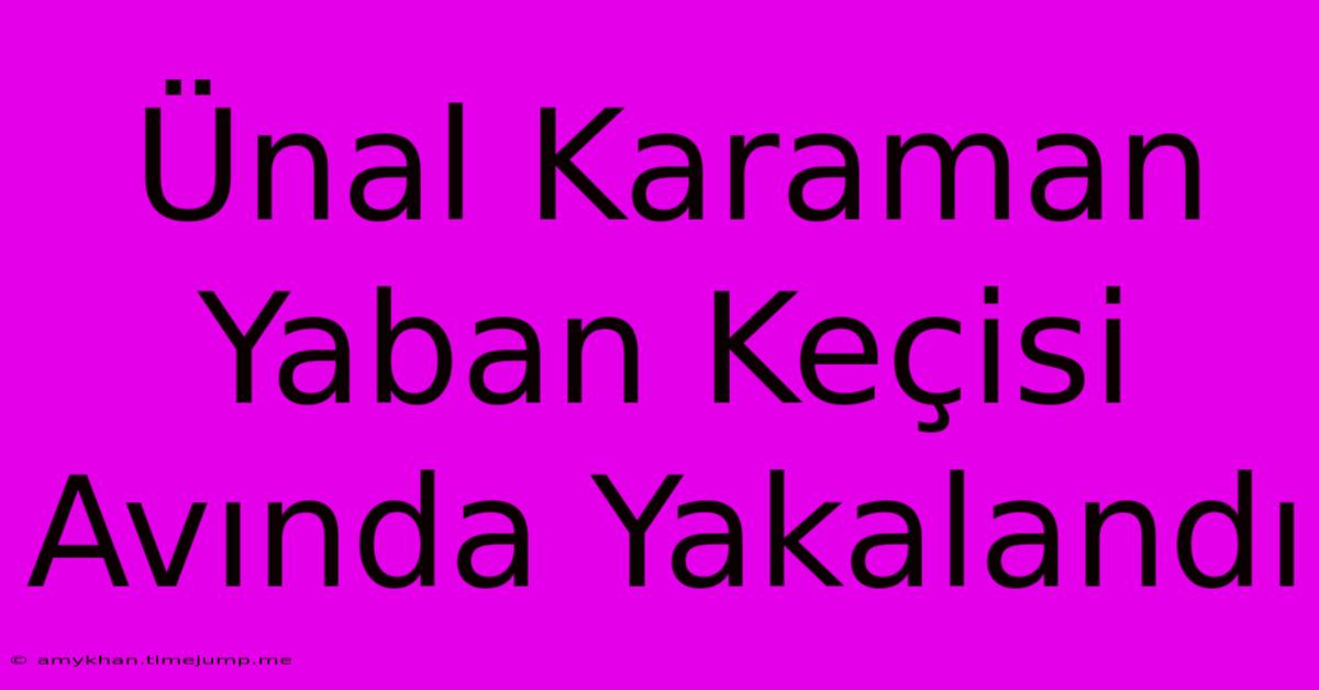 Ünal Karaman Yaban Keçisi Avında Yakalandı