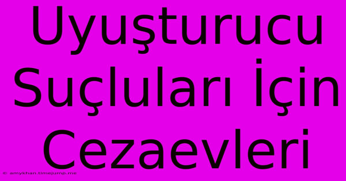 Uyuşturucu Suçluları İçin Cezaevleri