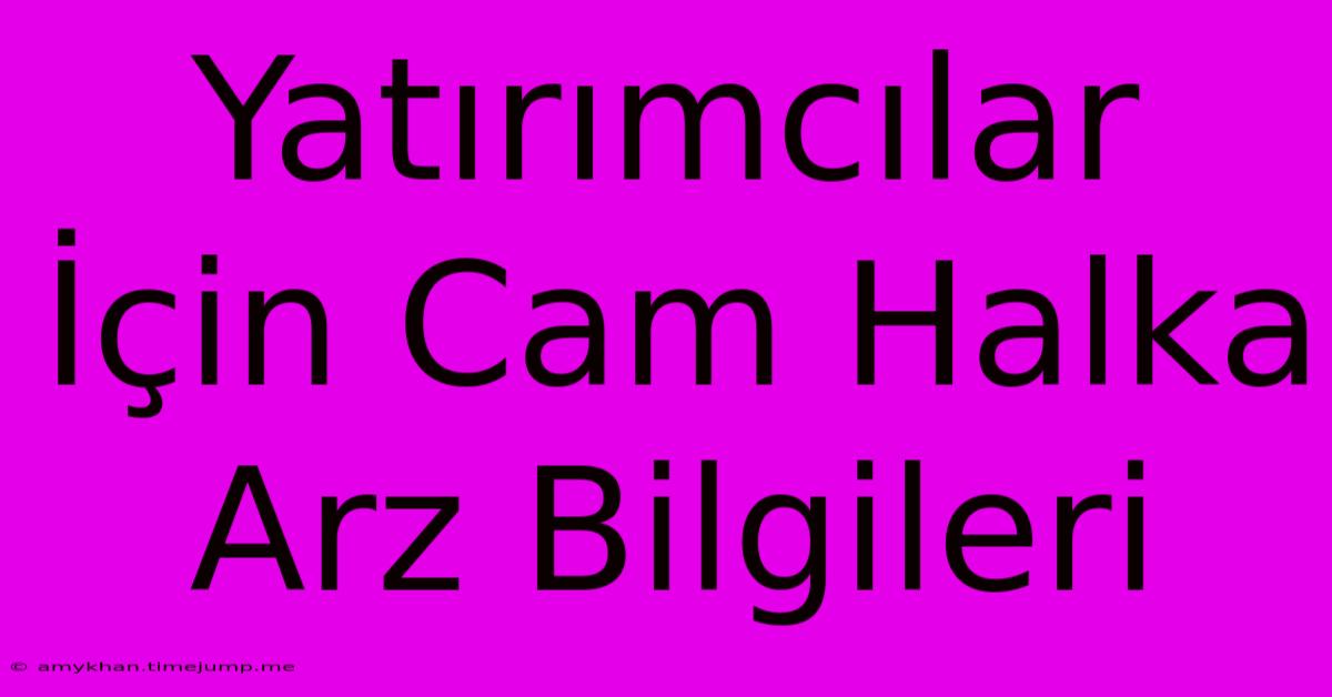 Yatırımcılar İçin Cam Halka Arz Bilgileri